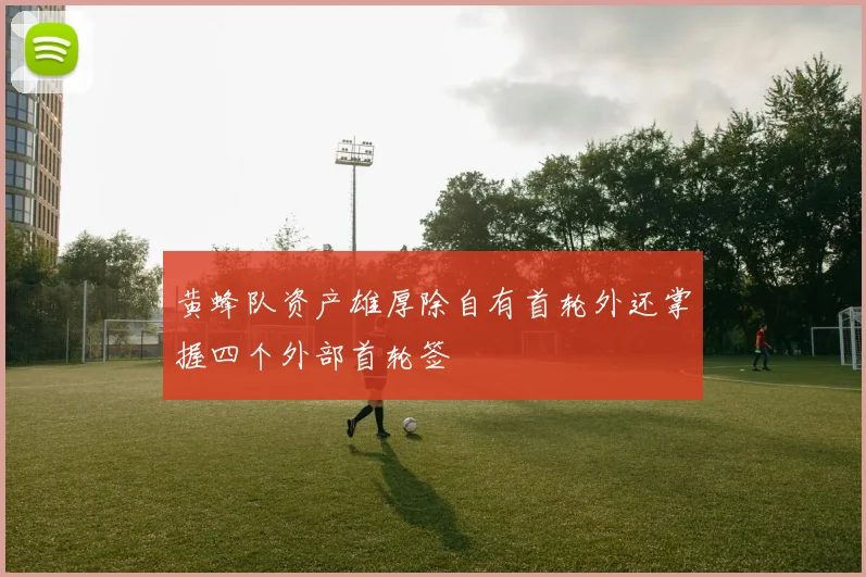 黄蜂队资产雄厚除自有首轮外还掌握四个外部首轮签